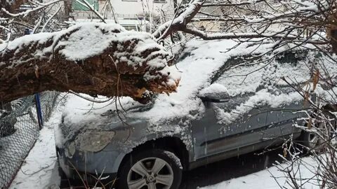 Мокрый снег упадет