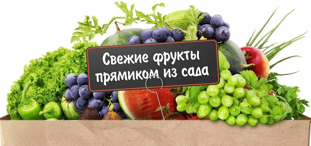 Свежие фрукты содержат 83. Овощи фрукты вывеска. Поступление свежих фруктов и овощей. Свежие овощи и фрукты. Фрукты и овощи на д.
