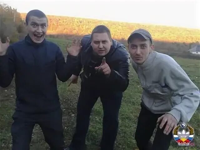Зихеры это