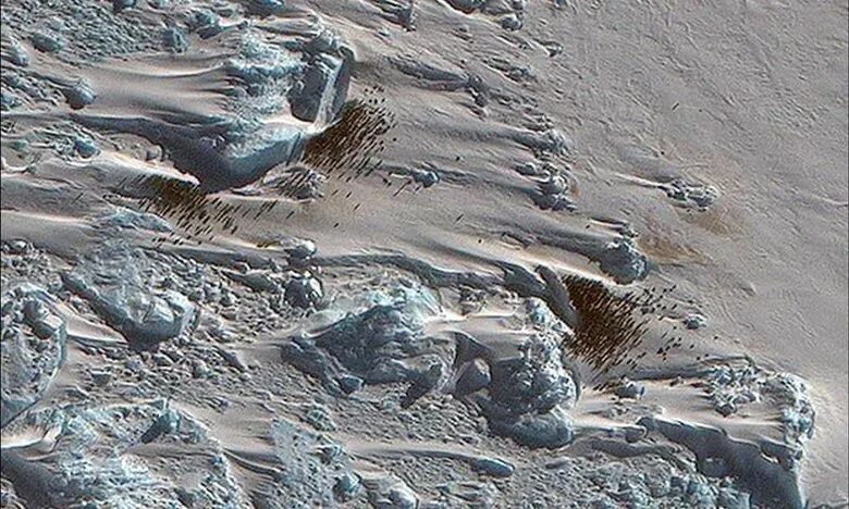 Антарктида фото из космоса до и сейчас Changing Sea Ice Along Antarctic Peninsula NASA