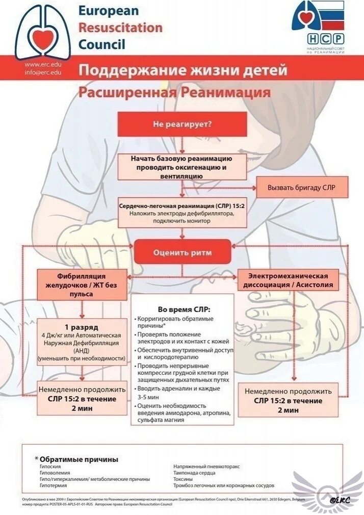 Слр клинические рекомендации 2023. Алгоритм сердечнрленрчной реанимации. Слр клинические рекомендации 2023. Алгоритм проведения слр схема. Этапы первичной сердечно-легочной реанимации схема.