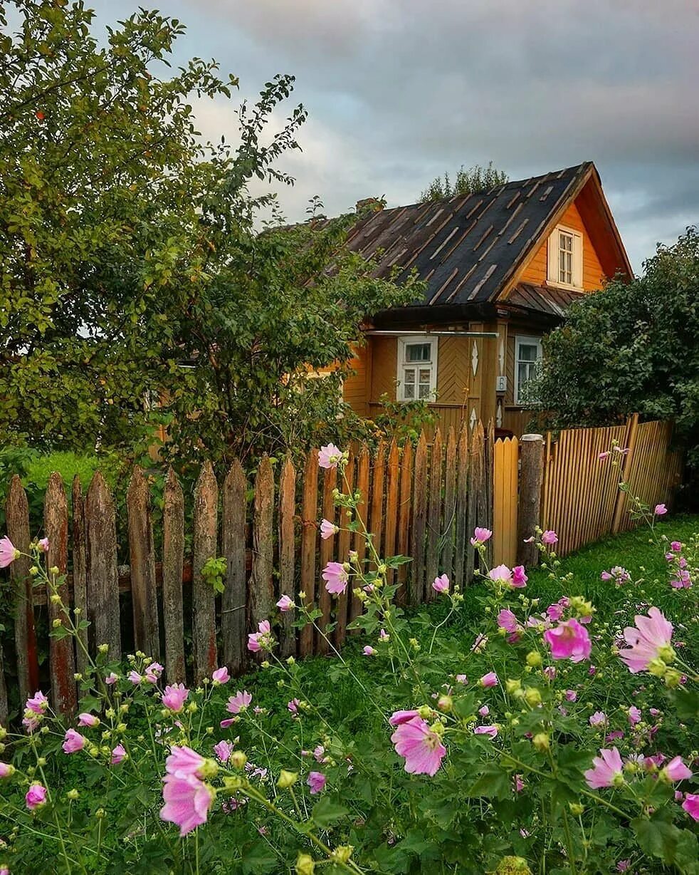 Снять дом в деревне на лето недорого. Домик в деревне. Деревенский дом. Красивый деревенский домик. Красивый дом в деревне.