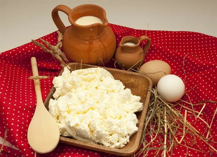 приготовление блюд из кисломолочных продуктов. молочные и кисломолочные продукты. блюда из молока и молочных продуктов. блюда из кисломолочных. технология приготовления блюд из молока и молочных продуктов.