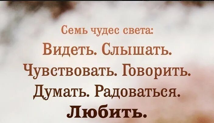 Будете слышать и видеть все. Семь чудес света видеть слышать чувствовать говорить. Семь чудес света это видеть слышать любить. Семь чудес видеть слышать.... Картинка семь чудес света видеть слышать.