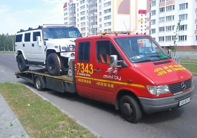 зеленый авто дубна. гомель авто. рено автоцентр челябинск. автосалон олимп. автошкола 1 гомель.