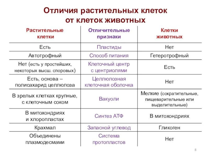 Черты различия клеток. Отличие клеток растений от клеток животных. Основные различия животной и растительной клетки. Отличительные признаки растительной клетки от животной. Основные отличия клетки растения и животного.