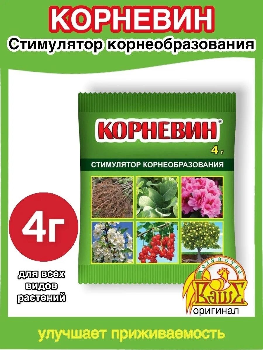 Корневин 4г. Корневин 10. Стимулятор корнеобразования. Корневин для растений.