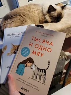 1 мяу