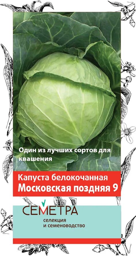 Капуста московская описание сорта отзывы. Семена капуста Московская поздняя 9. Капуста белокочанная Московская поздняя. Капуста белокочанная Московская поздняя 9 (а) 0,5 гр. Семена русский огород Кольчуга капуста белокочанная №1 Грибовский 147 0.5 г.