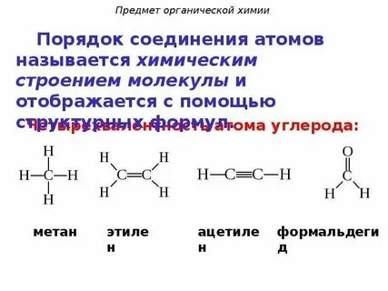 Органические связи организации
