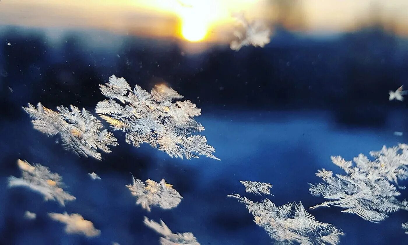 Падать во сне. Закружились пушистые снежинки. Снежинки кружатся. Сочинение путешествие снежинки. Снежинки воздухе кружатся.