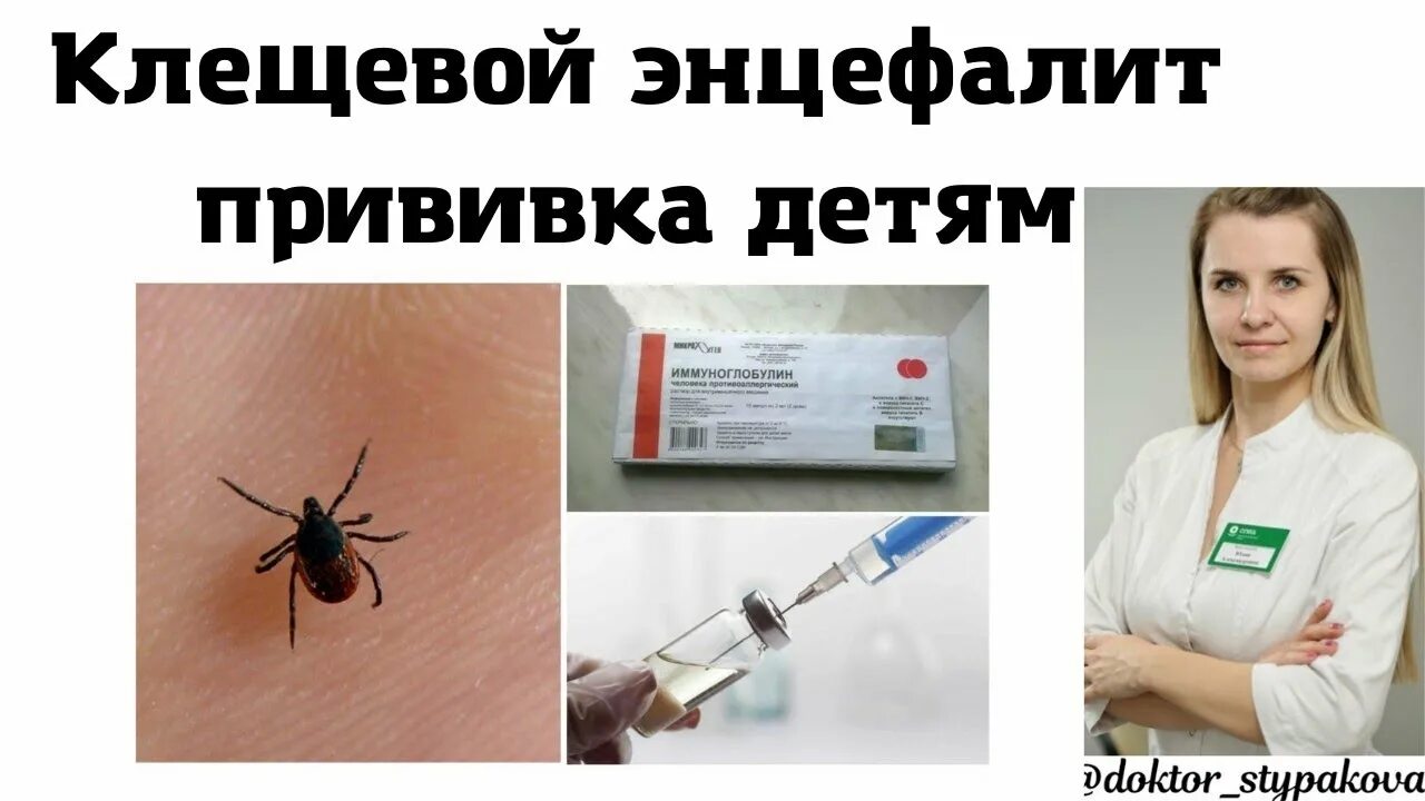 Прививка о клещевого энцефалита схема вакцинации. Вакцина против клещевого энцефалита культуральная инактивированная. Прививка против клещевого энцефалита схема вакцинации. Прививка против клещевого энцефалита схема вакцинации. Техника постановки прививки от клещевого энцефалита взрослым.
