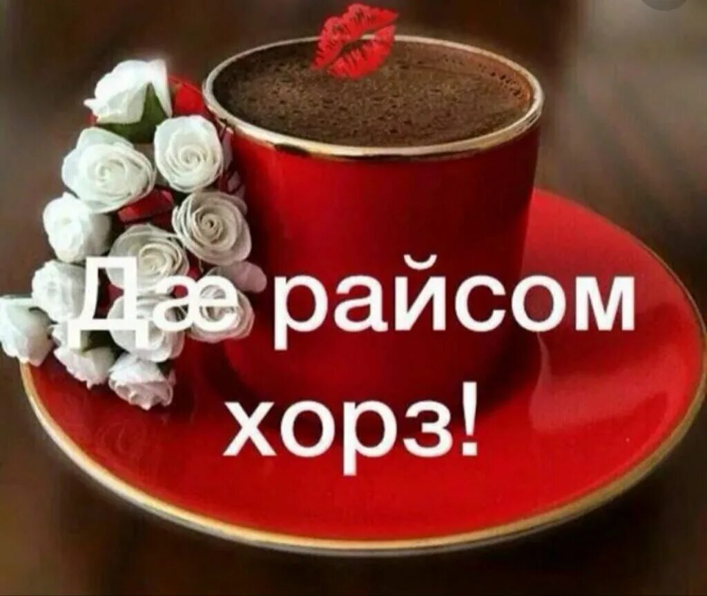 да райсом хорз. да райсом хорз. да райсом хорз. доброе утро по осетински. уа бон хорз.