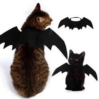 Костюм дракона для кота