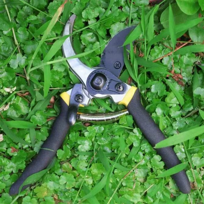 Как выбрать секатор садовый. Секатор fiskars p751. секатор садовый kw sk4. секатор садовый gsb 20. сучкорез центроинструмент 0208.