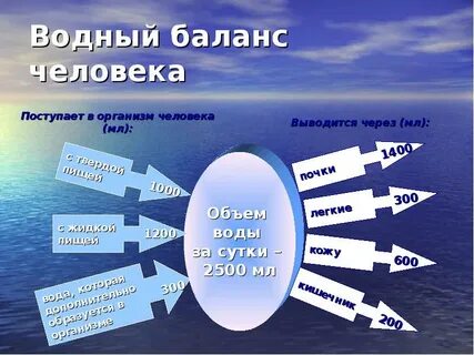 Соотношение водного баланса
