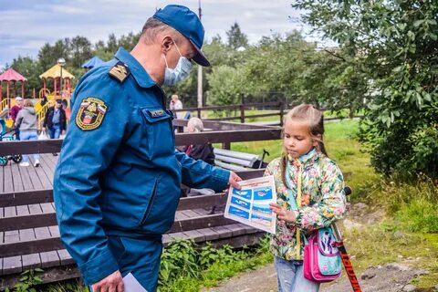 Государственный инспектор