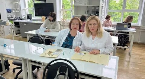 Не прошла курсы
