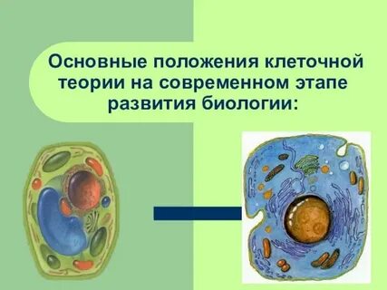 Клеточная теория строения организмов вирусы 9