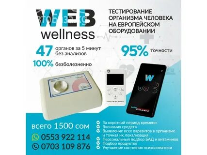 Веб велнес
