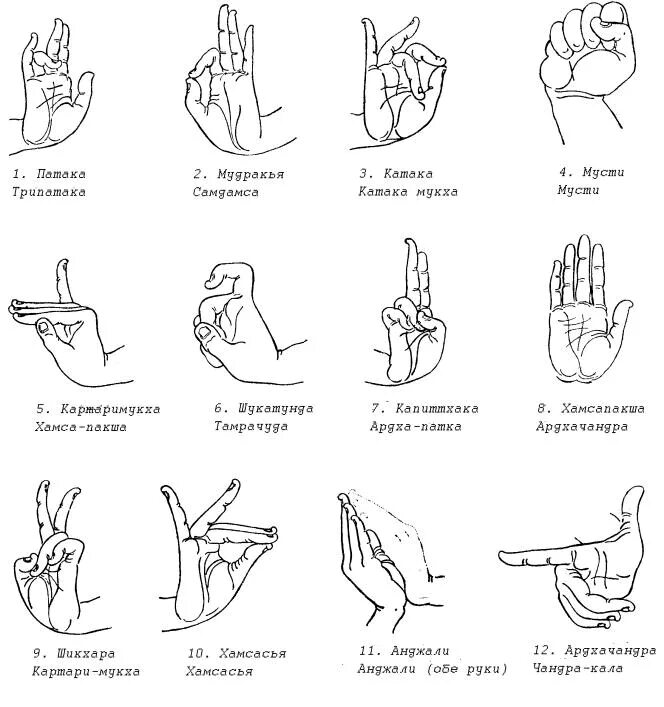Как правильно вставлять пальцы. Обозначение жестами пальцев. Что означают знаки пальцами рук. Обозначение жестов рук. Символы руками и пальцами обозначения.