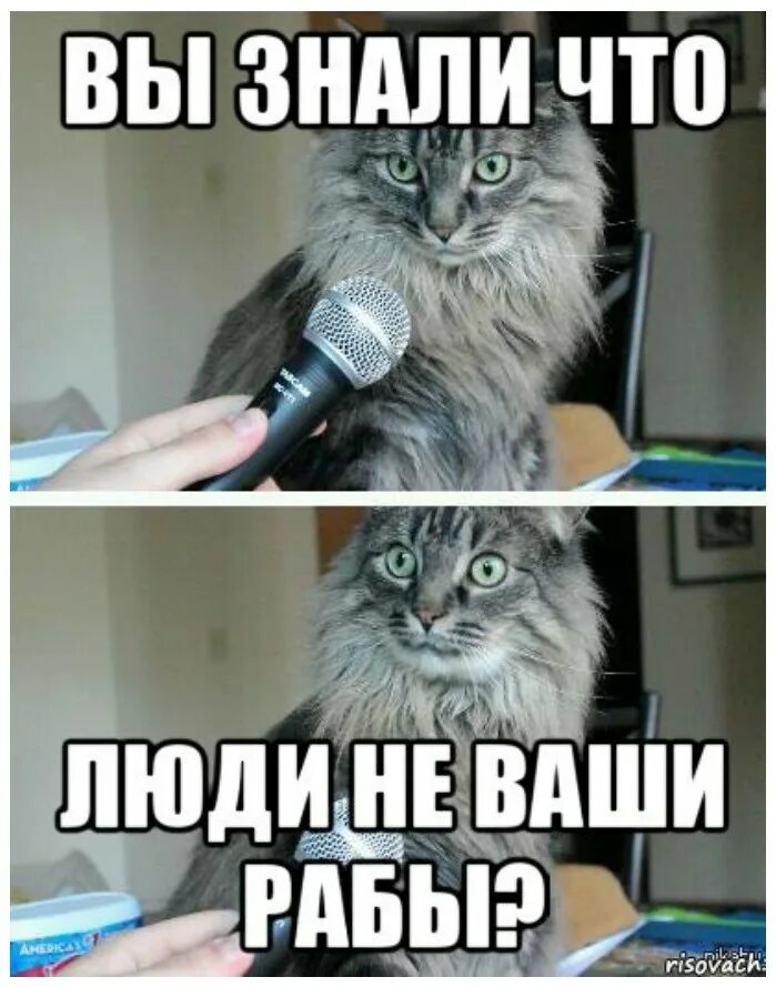 Картинка отпуск закончился завтра на работу. Завтра на работу после отпуска. мем завтра на работу после отпуска. завтра на работу после отпуска приколы. отпуск закончился завтра.