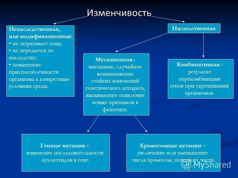 Наследственной называется изменчивость которая затрагивает