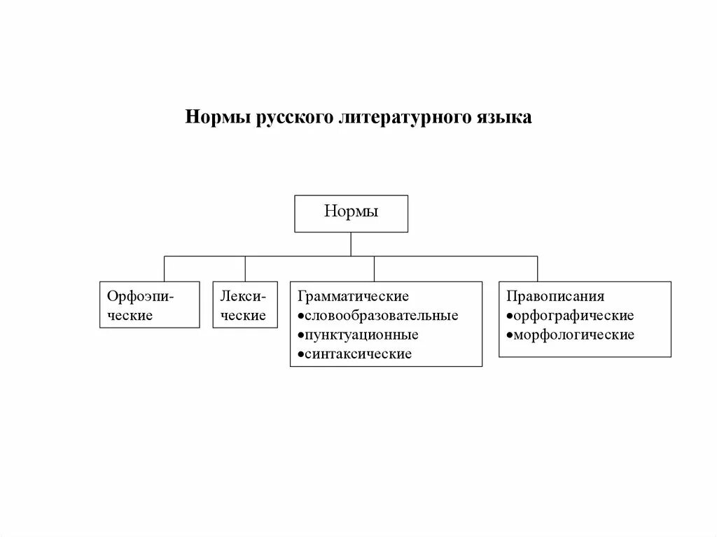 Нормы русского литературного языка схема. Система норм современного русского литературного языка таблица. Схема типы норм русского языка. Система норм русского литературного языка таблица с примерами