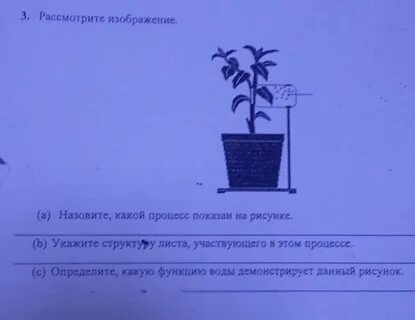 Как называют процесс изображенный на рисунке