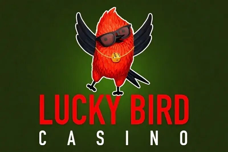 Lucky bird casino luckybird casino net ru. Bird казино. Птица казино. Lucky Bird. 3 Lucky Bird Casino.