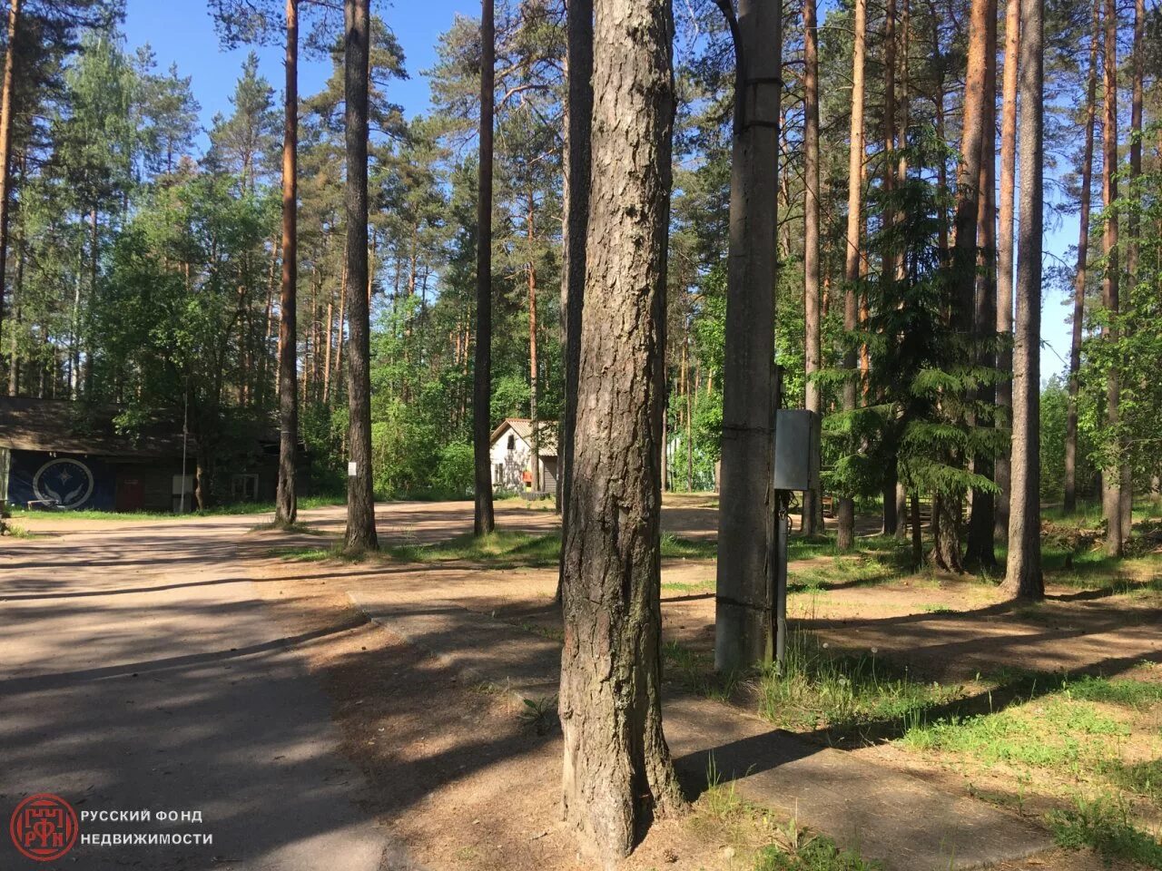 Купить квартиру в рощино ленинградской. Рощино Ленинградская область Песочная улица 16. Рощино, Песочная ул., 16. Выборгский район, пос. Рощино, ул. Песочная, д.16. Песочная Рощино лагерь.