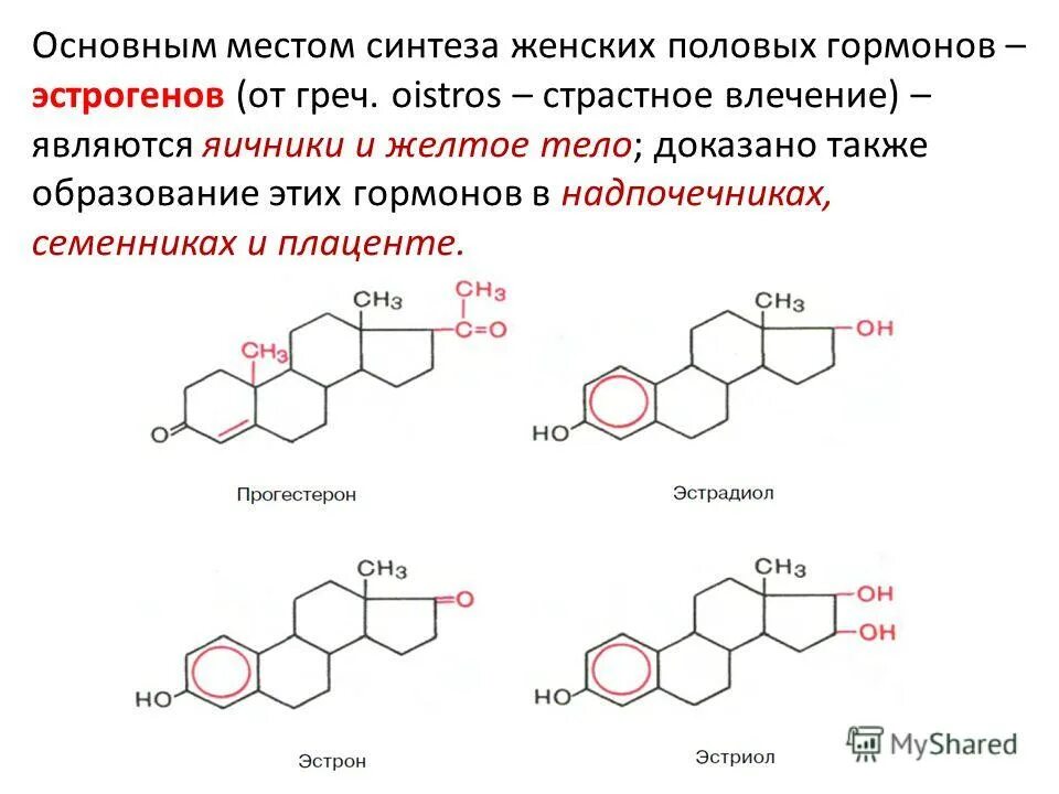 Гормон эстроген у женщин повышен. Гормон эстроген у женщин повышен