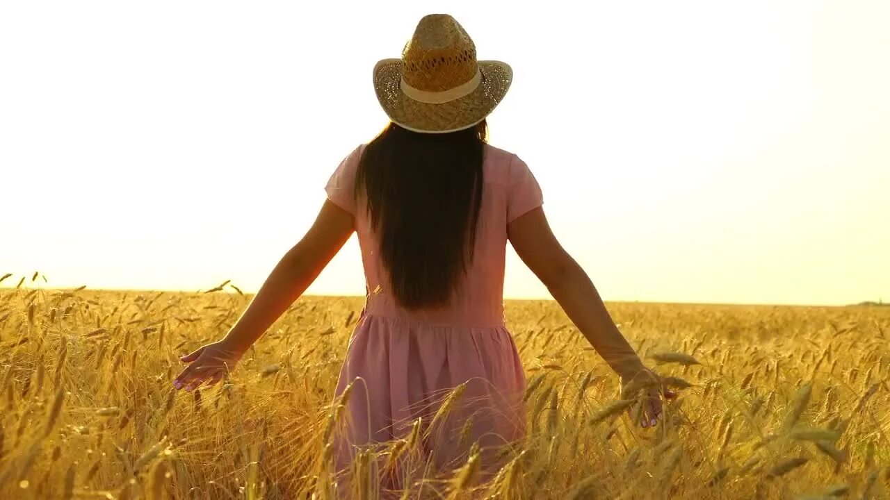 Girl in Dress Walking on the field. Клип девушка в синем платье бежит по полю. Walk across the field. Pretty girl in field. Related field