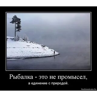 Рыбалка афоризмы