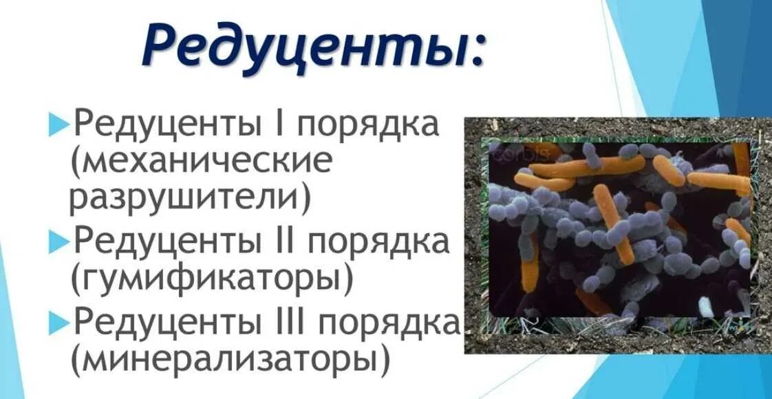 Редуценты типы