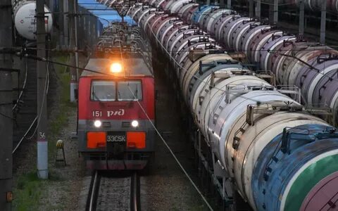 Наш поезд перевозил зверей с дальнего востока