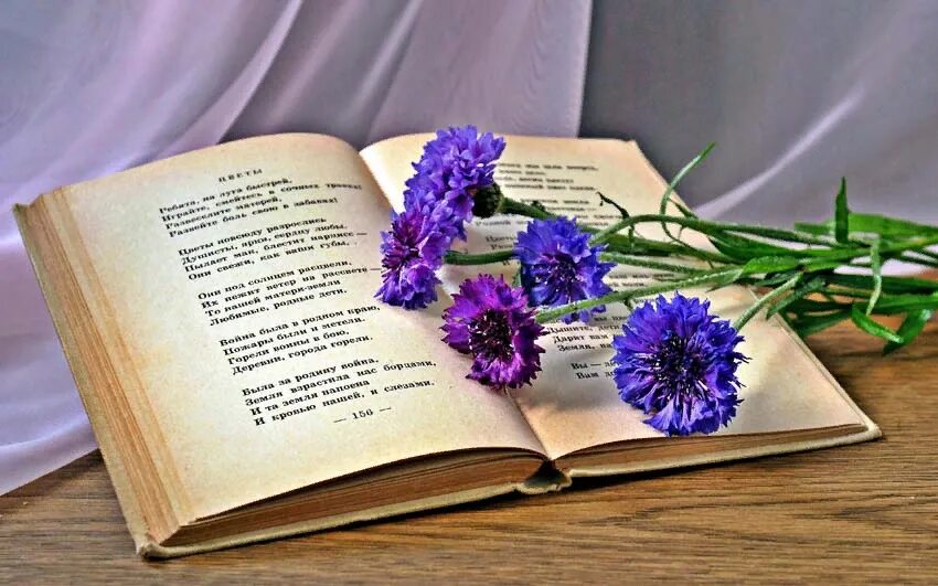 Поздравить бывшего проза. Книга цветы. Книга стихов. Книга с цветами. Открытка с книгой и цветами.
