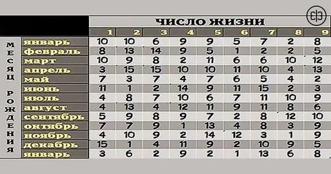 Ваше число жизни