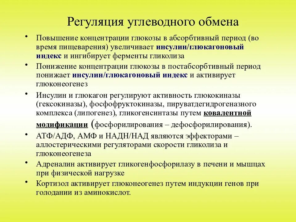 Какие гормоны регулируют обмен веществ. Регуляция углеводного обмена. Гормональная регуляция углеводного обмена. Гормональная регуляция углеводов. Регуляция углеводного обмена схема.