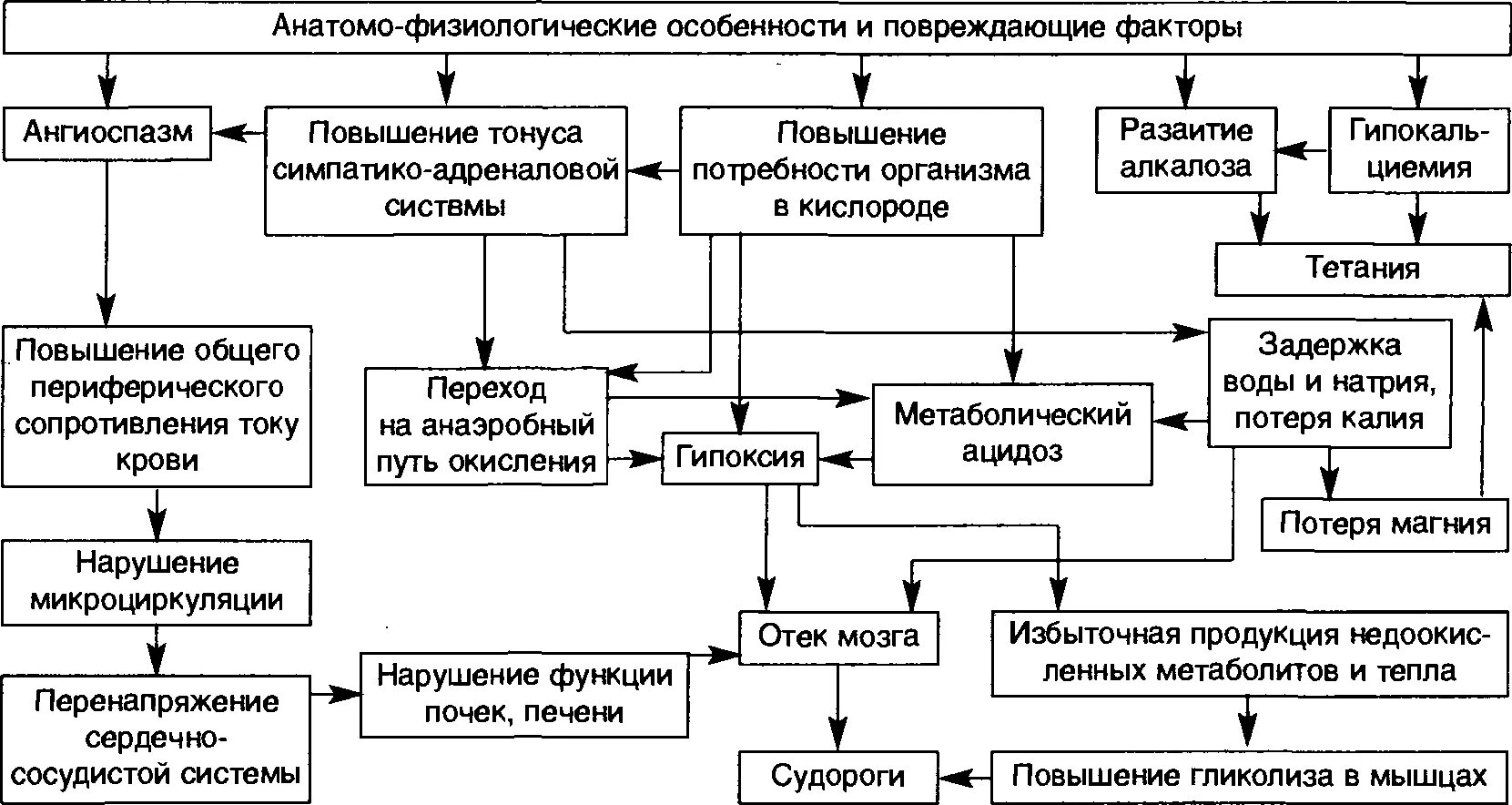 Схема патогенеза судорожного синдрома. Механизм развития судорожного синдрома. Патогенез общего судорожного приступа. Патогенез развития судорожного синдрома у детей. Помощь при судорогах алгоритм