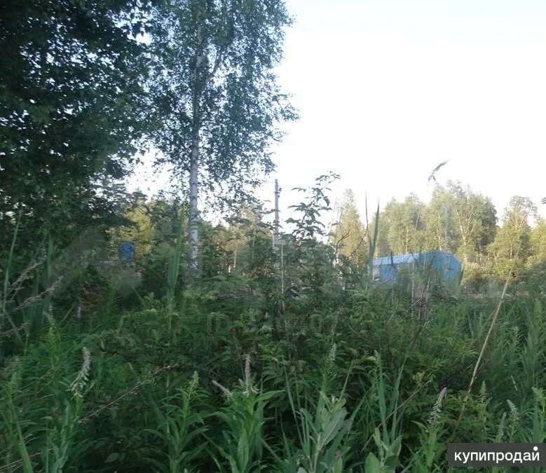 Участки на игоре. 382 участок москва. Заброшенные участки в снт в новые. 382 участок москва. Мозжухинский карьер.