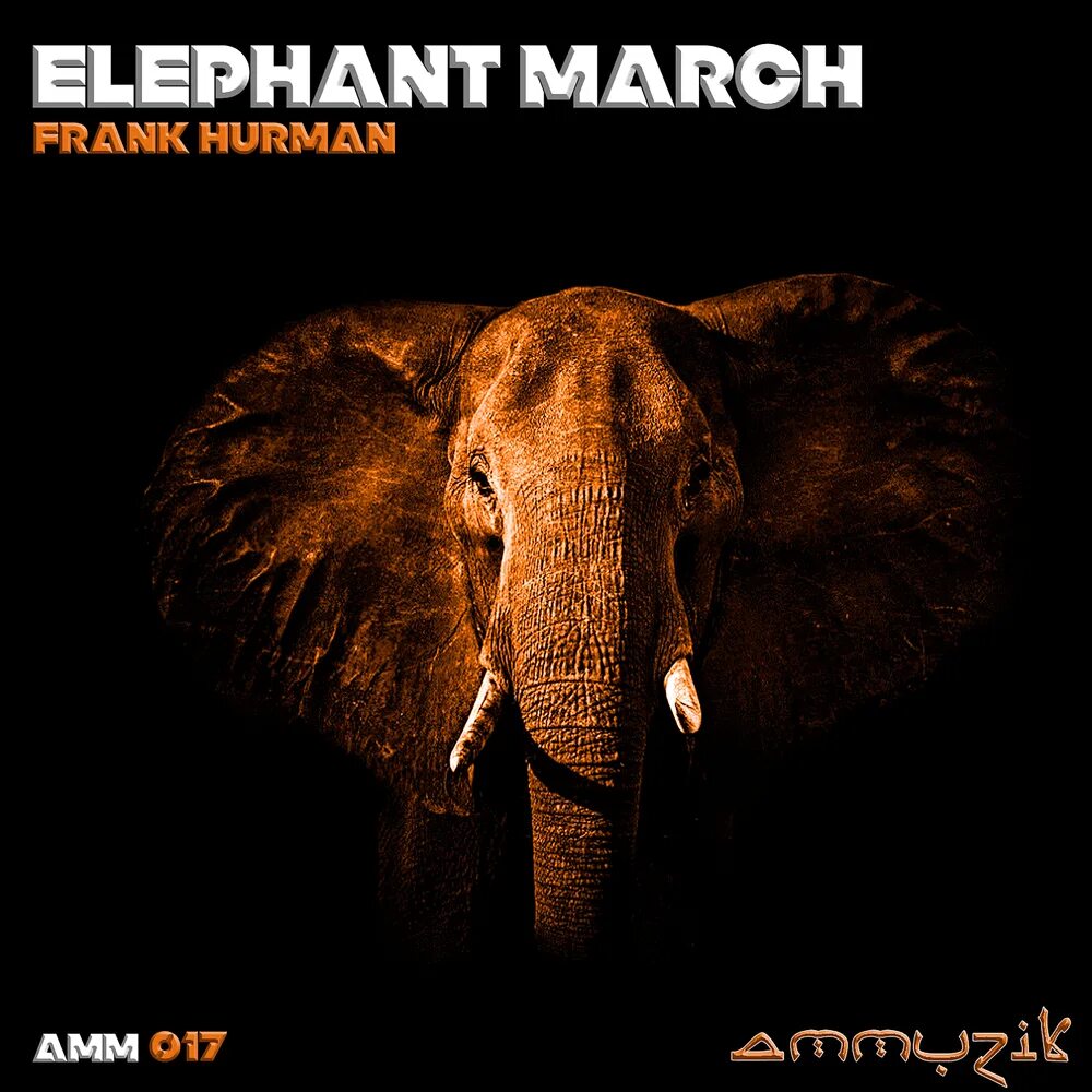 Elephant music. Elephant альбом. Elephant песня. Elephant Music альбом. Песня elefante.