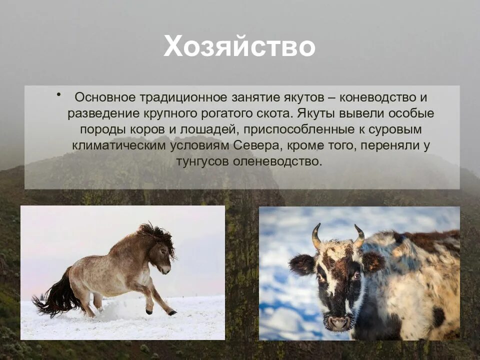 Основные занятия якутов. Основное занятие якутов. традиционные занятия якутов. якуты занятия населения. традиционное занятие якут и бурят.