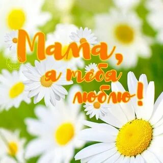 Для мамочки любимой для мамочки картинки