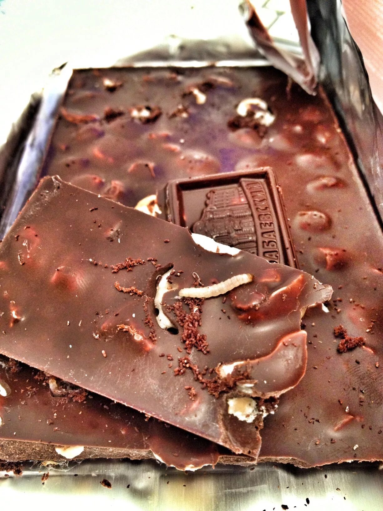 какаовая огневка. шоколад с кузнечиками. червяки в шоколадных конфетах. бригадейро бразильский десерт. личинки пищевой моли в конфетах.