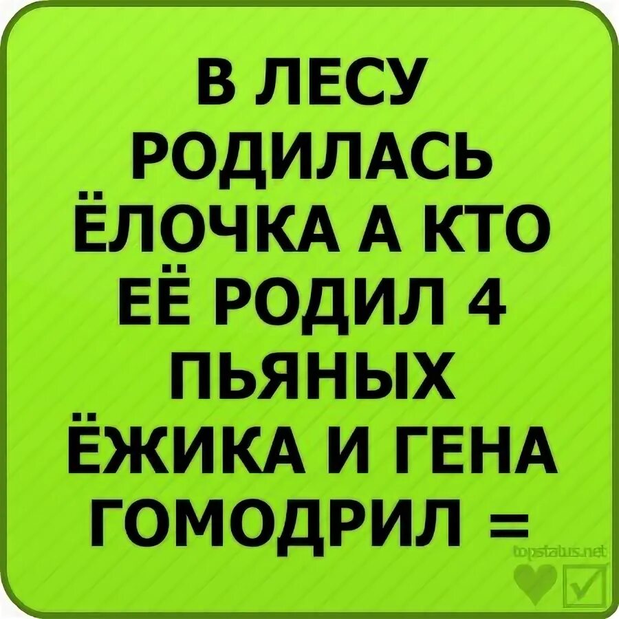 Четыре пьяных ежика и крокодил. В лесу родилась ёлочка а кто её родил 4 пьяных Ёжика и Гена крокодил. В лесу родилась ёлочка а кто её родил 4 пьяных Ёжика и Гена. В лесу родилась ёлочка четыре пьяных ежика.