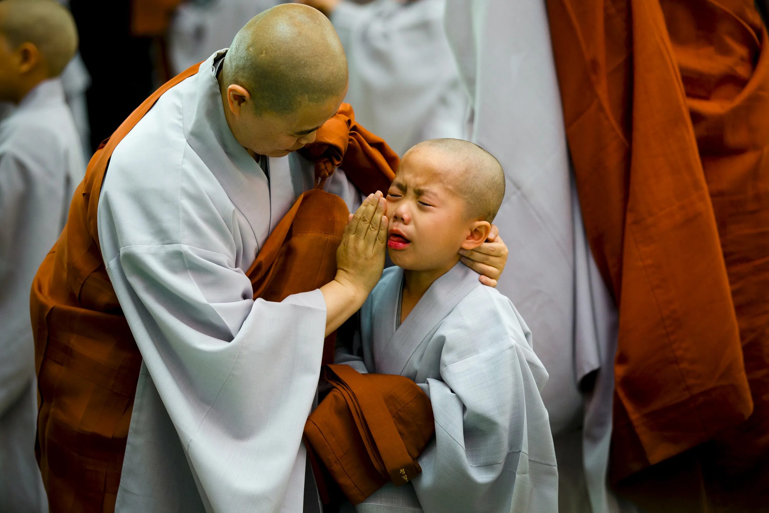 Подстричь в монахи. Буддийский монах. Монах буддист. Буддийские ученики. Маленький буддийский монах.