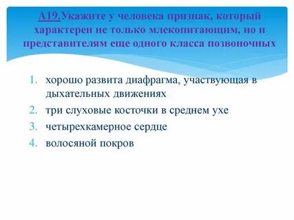 Характерно для человека проявление активности выражающееся
