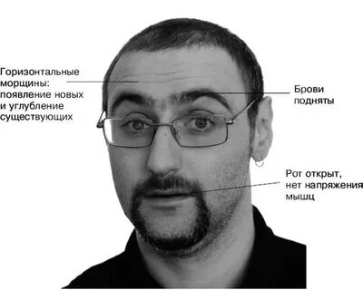 Наварро как распознать ложь