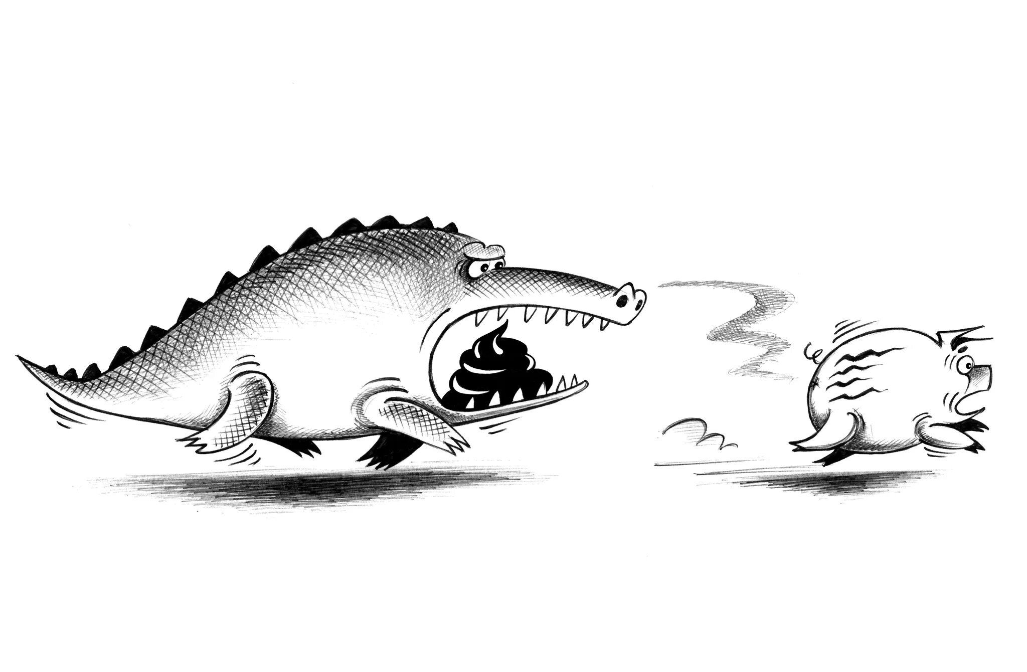 Прикольные рисунки. Карикатуры Сергея Корсуна. Крокодил свинья